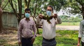 পাখি শিকার করে ফেইসবুকে বিক্রি, যুবক আটক
