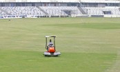 ক্রিকেটারদের জন্য খুলছে শেরেবাংলার দুয়ার

