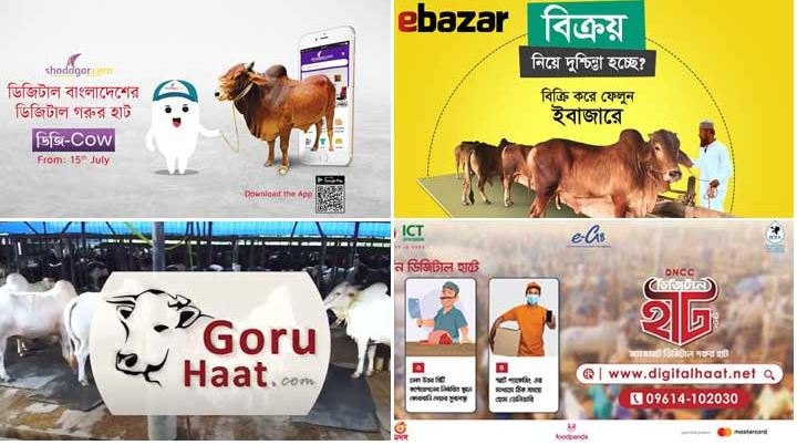 অনলাইনে যেভাবে কোরবানির পশু কিনবেন
