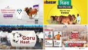অনলাইনে যেভাবে কোরবানির পশু কিনবেন
