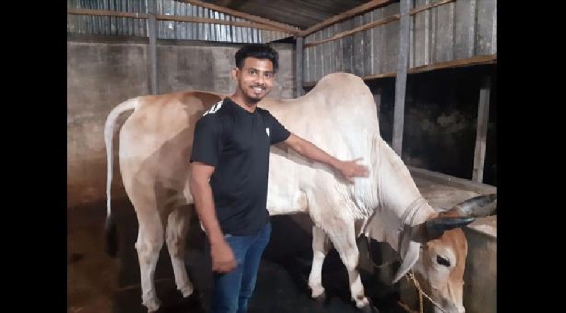 ফার্ম থেকে কোরবানির গরু কিনলেন ক্রিকেটার মোসাদ্দেক