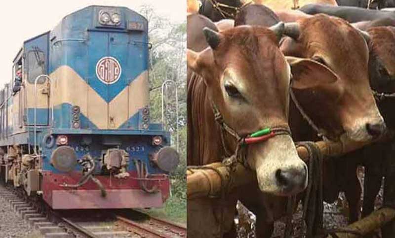 ঈদে পশু পরিবহনে দুই জোড়া ক্যাটেল স্পেশাল ট্রেন
