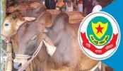 পশুর হাটের নিরাপত্তায় পুলিশের ২০ উদ্যোগ
