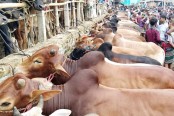 শেষ দিনের আশায় পশু ব্যবসায়ীরা
