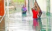 কমছে না পানি, প্লাবিত হচ্ছে নতুন নতুন গ্রাম