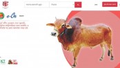 অনলাইন হাটে ২৭ হাজার গরু-ছাগল বেচাকেনা হয়েছে
