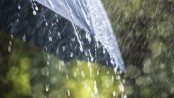 ঈদের দিন হালকা বৃষ্টি হতে পারে

