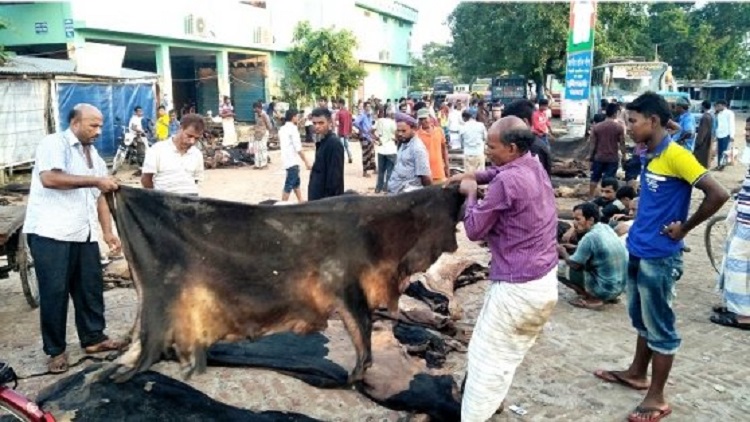 ছাগলের চামড়ার দাম সর্বনিম্ন ২ টাকা, গরুর ১৫০
