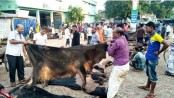 ছাগলের চামড়ার দাম সর্বনিম্ন ২ টাকা, গরুর ১৫০
