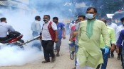 মশক নিধনে শনিবার থেকে ডিএনসিসিতে চিরুনি অভিযান
