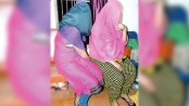 কুড়িতেই বুড়ি, আজও মানুষের মনে কুসংস্কার!