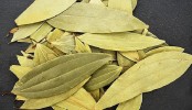রূপচর্চায় তেজপাতার ৬ ম্যাজিক
