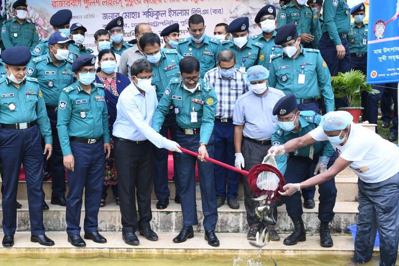 রাজারবাগ পুলিশ লাইন্সে মাছের পোনা অবমুক্ত করলেন ডিএমপি কমিশনার
