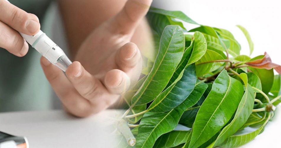 রক্তে সুগার লেভেল নিয়ন্ত্রণে রাখবেন যেভাবে