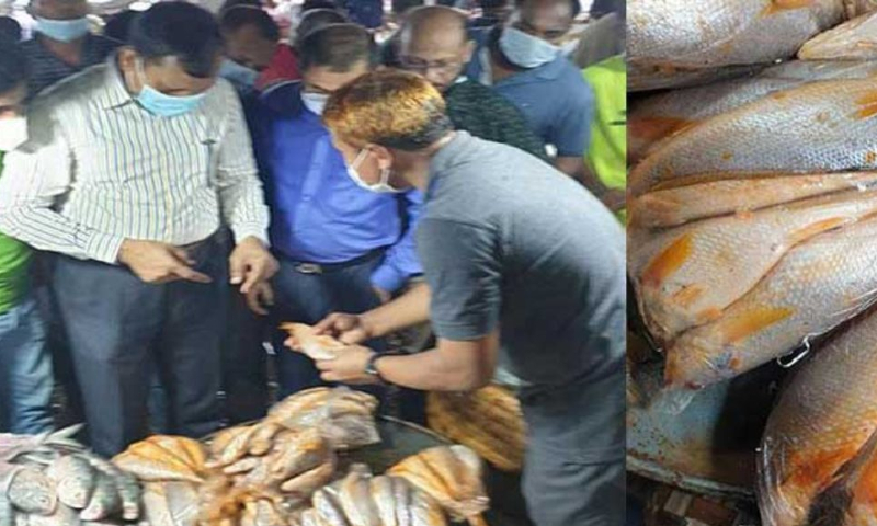 কারওয়ান বাজার মাছের আড়তে র‌্যাবের অভিযান
