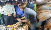 কারওয়ান বাজার মাছের আড়তে র‌্যাবের অভিযান
