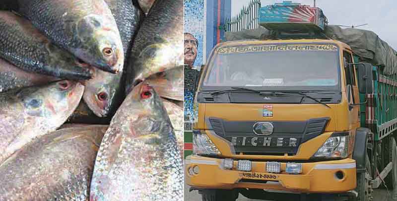 পেঁয়াজ রপ্তানি বন্ধের দিন ১২ টন ইলিশ গেল ভারতে
