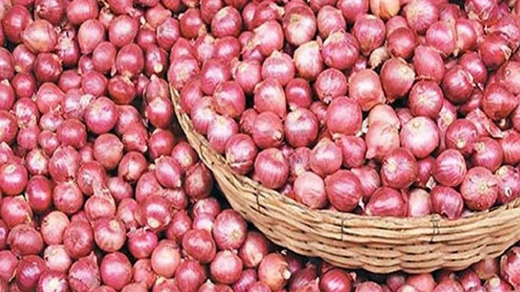 তুরস্ক ও মিশর থেকে পেঁয়াজ আমদানির পদক্ষেপ