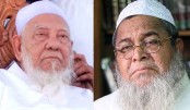 হেফাজত ইসলামের পরবর্তী আমির কে?

