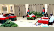ইলিশের উৎপাদন বাড়াতে ২৪৬ কোটি টাকার প্রকল্প
