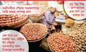সাড়ে ৫ লাখ টন পেঁয়াজ আমদানি হচ্ছে মার্চের মধ্যে
