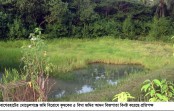   কৃষকের ৫ বিঘা জমির বীজপাতা বিনষ্ট  ফসল বুনতে দেয়নি প্রতিপক্ষ
