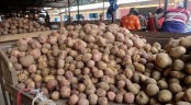 খুচরা বাজারে আলুর কেজি ৩০ টাকার বেশি রাখা যাবে না
