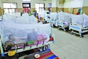 দেশে ডেঙ্গু আক্রান্ত হয়ে ১৪ জন রোগী হাসপাতালে ভর্তি
