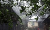 দেশের ১৮ অঞ্চলে ঝড়বৃষ্টির সম্ভাবনা
