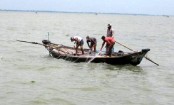 আজ শেষ হচ্ছে ইলিশ ধরার নিষেধাজ্ঞা