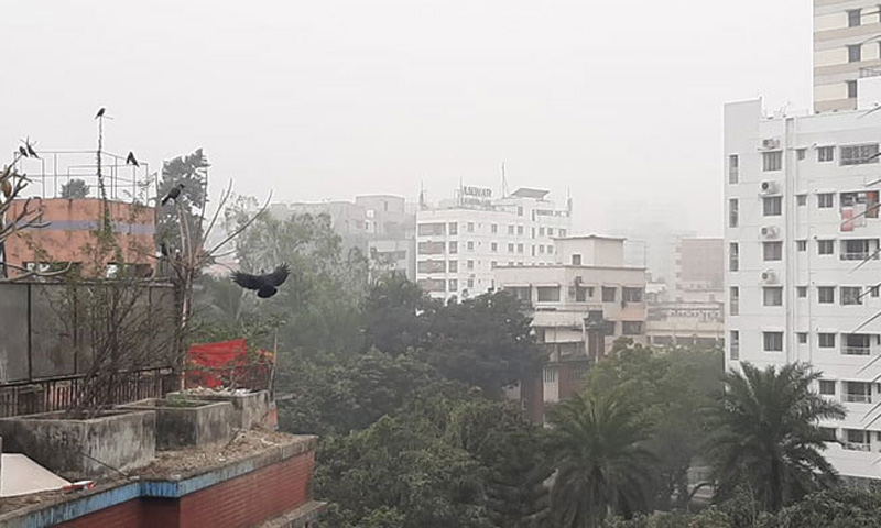 ঢাকায় কমতে পারে দিনের তাপমাত্রা
