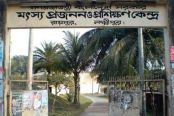 রায়পুরের মৎস প্রজনন ও প্রশিক্ষন কেন্দ্রে জনবল সংকট
