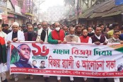 রায়পুরে নানা আয়োজনে বিজয় দিবস উদযাপন
