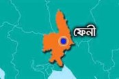 ফেনীতে বিজয় দিবস উপলক্ষে নানা আয়োজন
