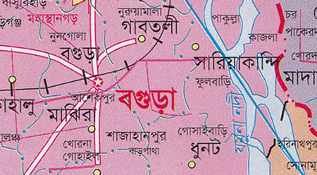 দম্পতির বিষপানের ঘটনায় স্ত্রীর মৃত্যু
