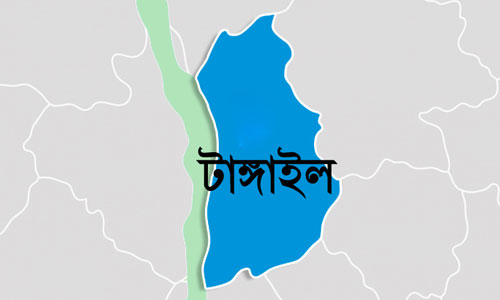 সবজিবোঝাই ট্রাক খাদে পড়ে নিহত ১
