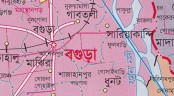 দম্পতির বিষপানের ঘটনায় স্ত্রীর মৃত্যু
