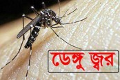 গত ২৪ ঘণ্টায় দেশে ১৪৩ জন ডেঙ্গু আক্রান্ত