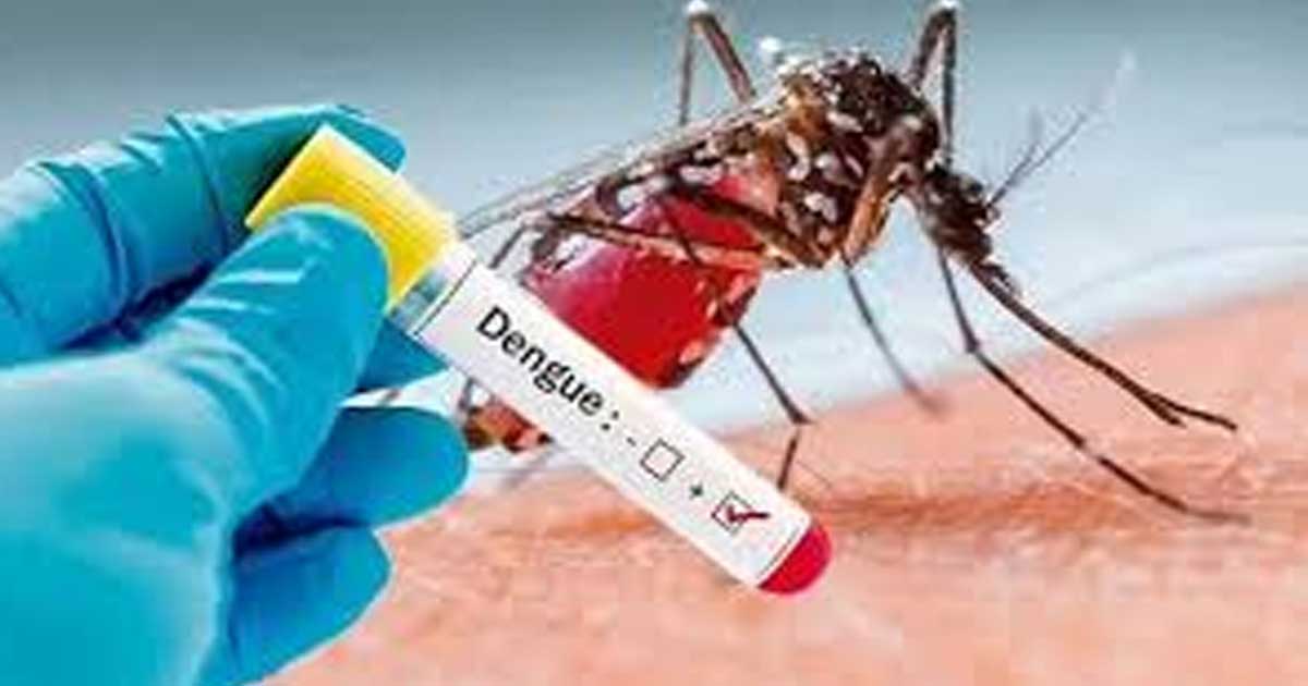 ডেঙ্গুতে প্রাণ গেলো  আরও ৭  জনের 